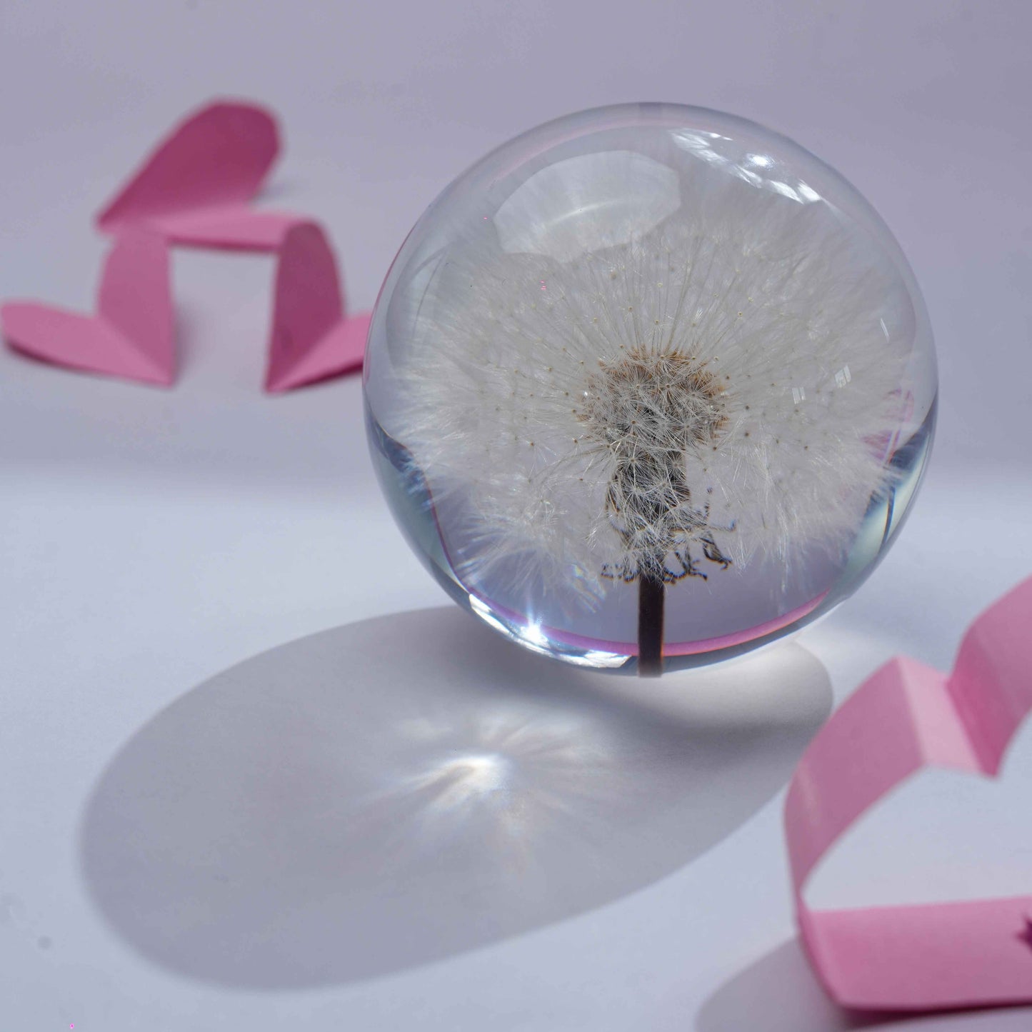 Dandelions Paper Weight