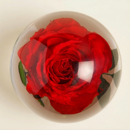 Rose in Still Time Paperweight with Wooden Base