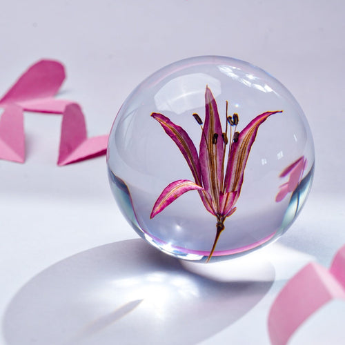 Preserved lily Orb
