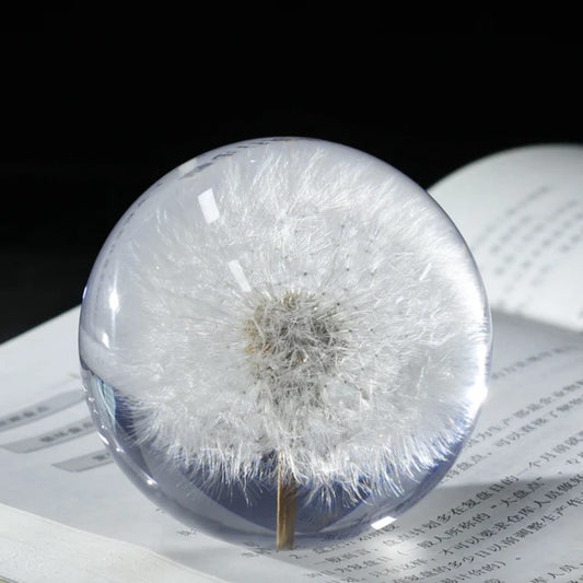 Dandelions Paper Weight