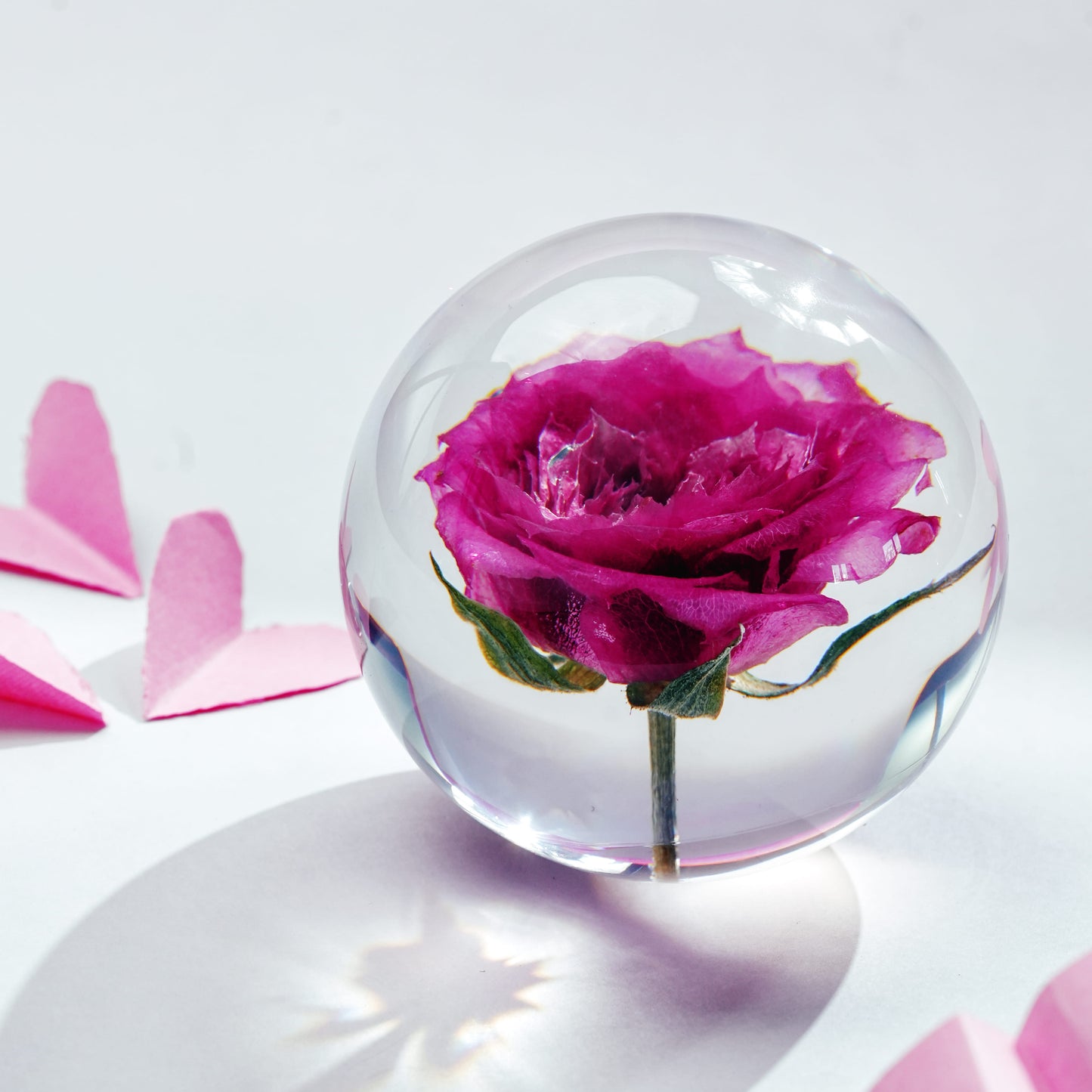 Rose in Still Time Paperweight
