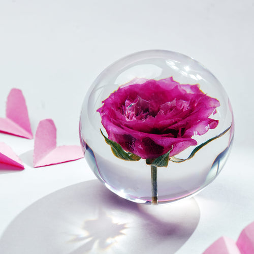 Rose in Still Time Paperweight